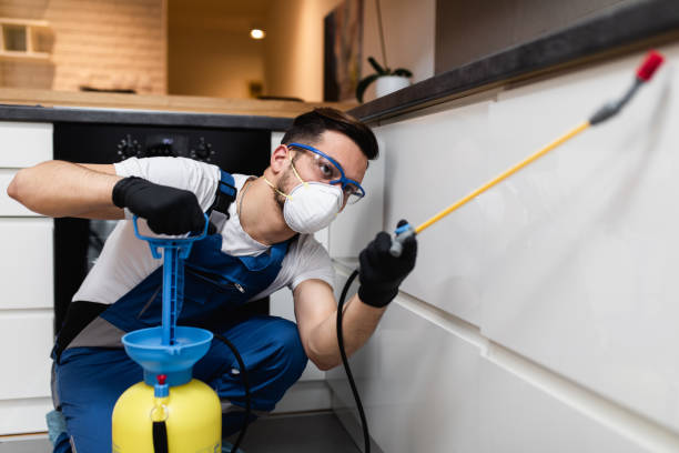 Best Mosquito Control Services  in Alta Sierra, CA
