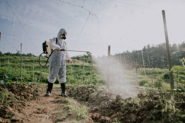 Reliable Alta Sierra, CA Pest Control Solutions