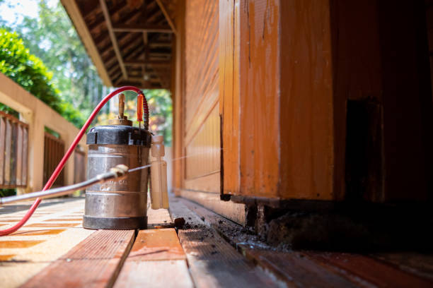 Best Affordable Pest Control Services  in Alta Sierra, CA