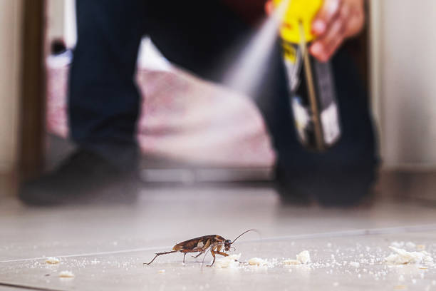 Best Pest Inspection Near Me  in Alta Sierra, CA
