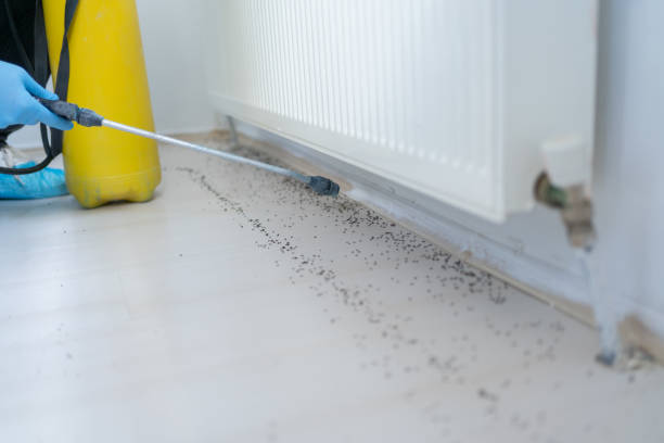 Best Pest Control Cost  in Alta Sierra, CA