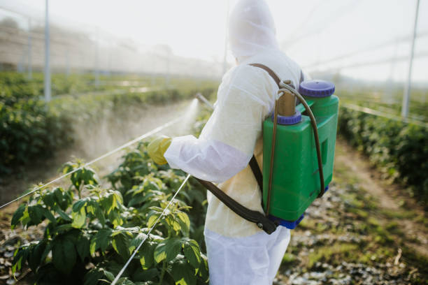 Best Best Pest Control Companies  in Alta Sierra, CA